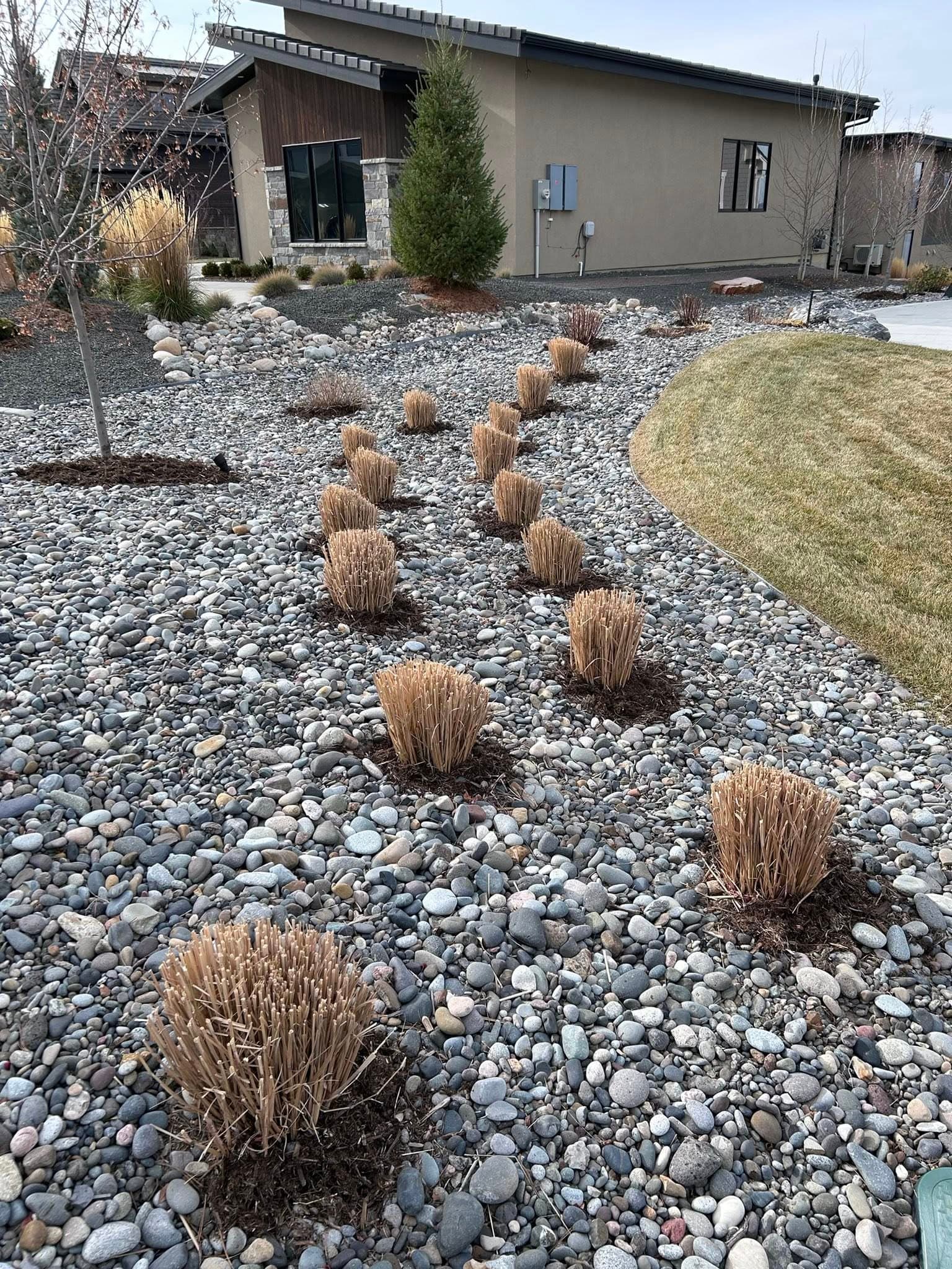 Modern home with gravel landscaping and ornamental grasses