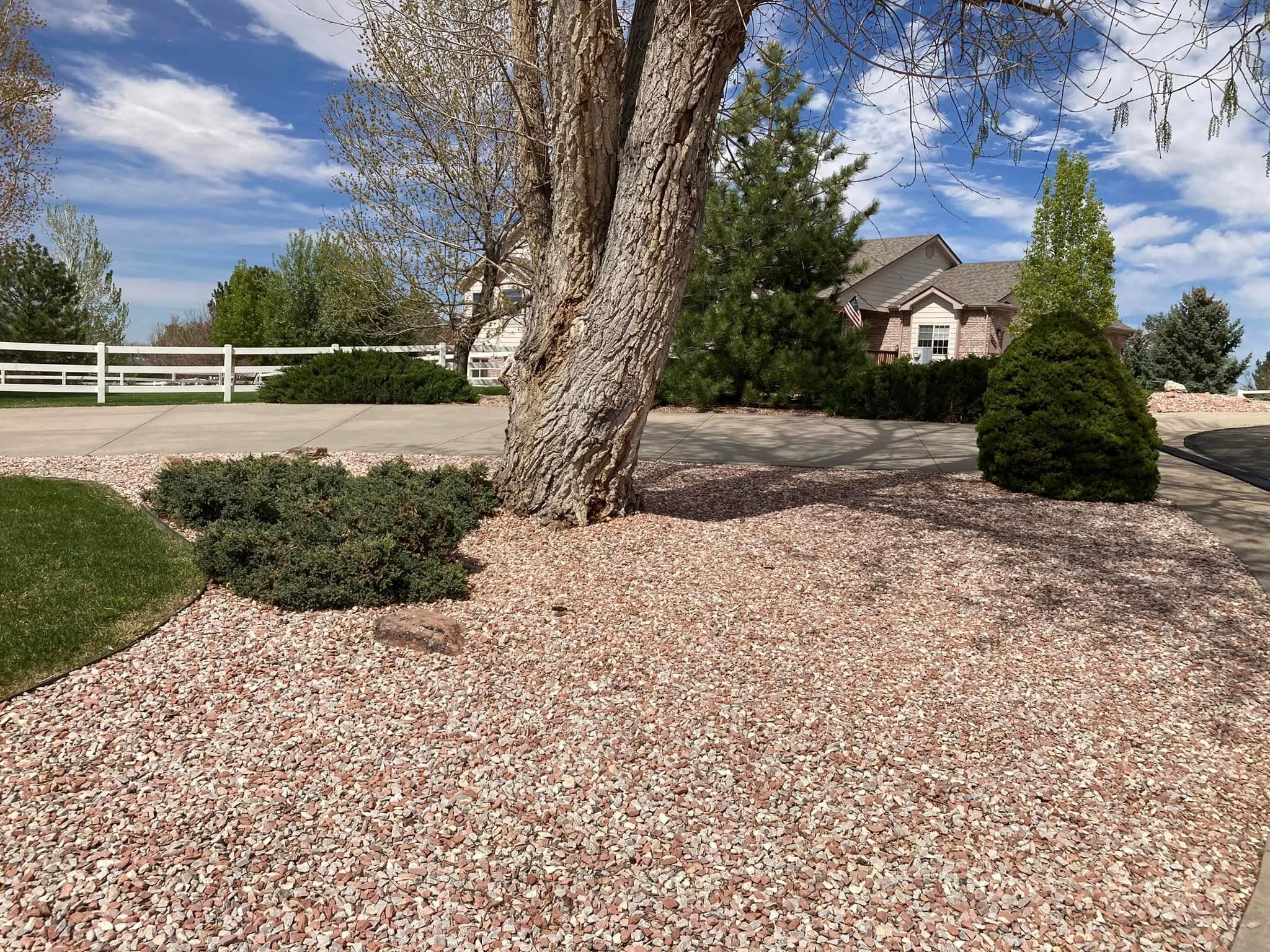 Tree Trimming & Pruning